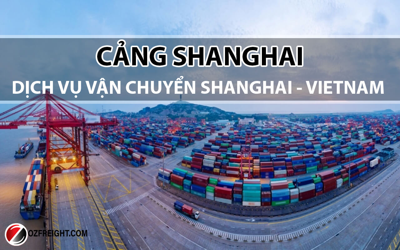 Cảng Shanghai - Dịch vụ vận chuyển Shanghai - Vietnam